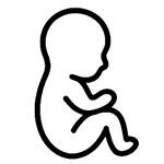 fetal-echo